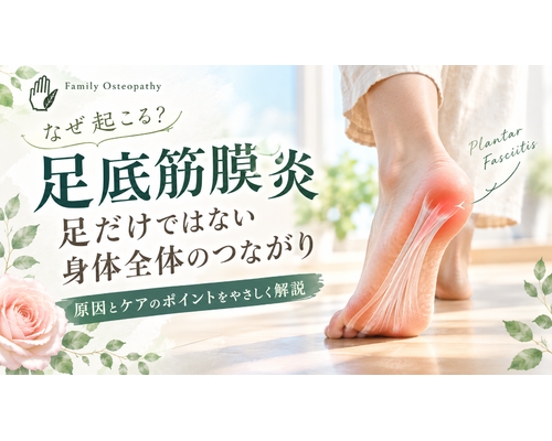 CFFE4234-0A80-4581-9F83-4AE123B59A12