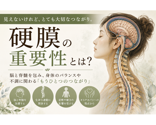 588A4090-953A-497F-9CF8-377A4E88075A