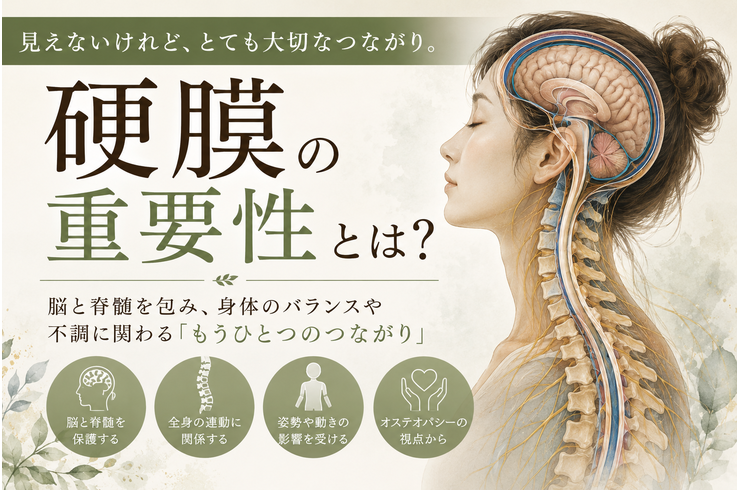 588A4090-953A-497F-9CF8-377A4E88075A